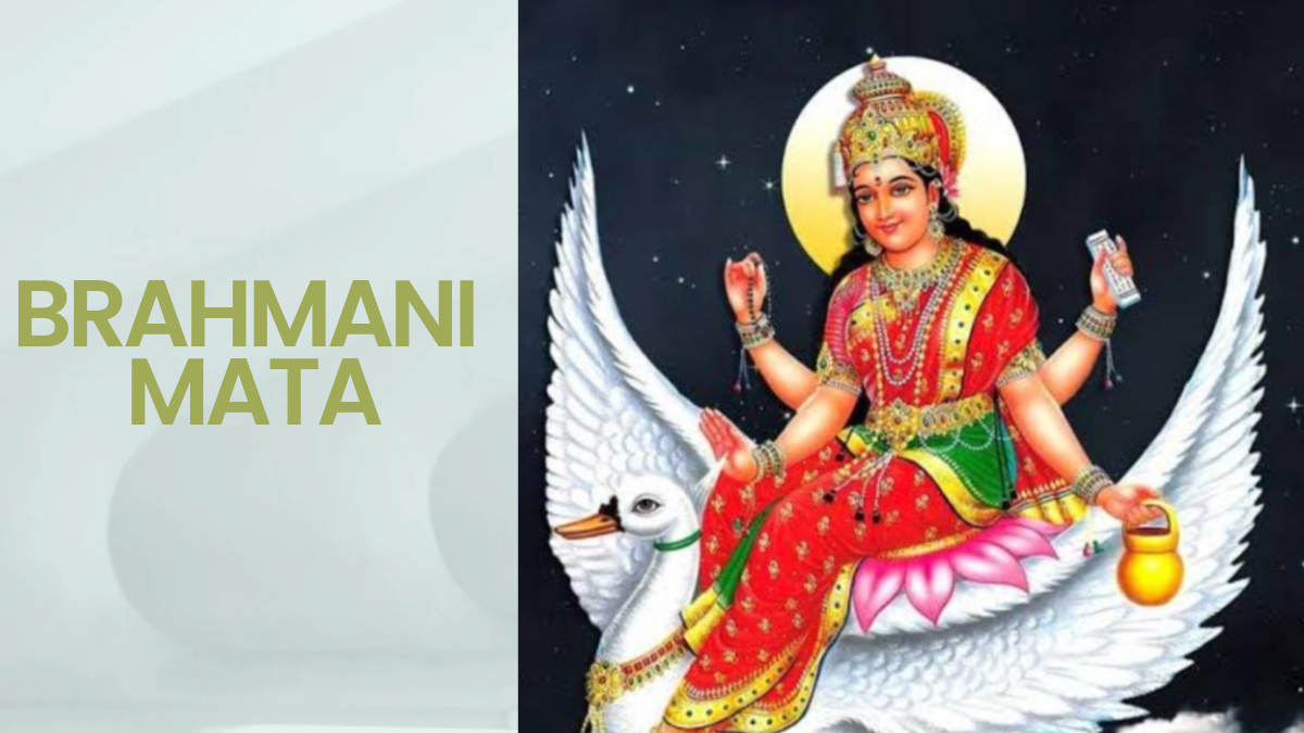 Read more about the article ब्राह्मणी माता मंदिर, बारां – दुनिया का अनोखा मंदिर जहाँ होती है पीठ की पूजा